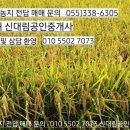 신대림공인중개사사무소 이미지