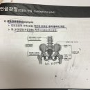 치킨인류내곡 | 가을의 끝자락
