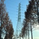 코브나인 | 서울 근교 드라이브 대부도 카페 코브나인