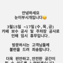 눈이부시개 이미지