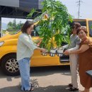 은성어린이집 이미지