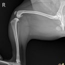 대흥동물병원 이미지