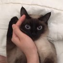 공칠일공