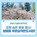 청림동 푸른숲 작은도서관 이미지