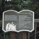 머물다삼포 이미지