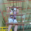 놀토피아 이미지