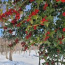 백석공원 화장실 이미지