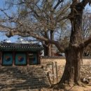 송곡목장 이미지