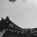 스튜디오커먼굿