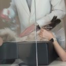 안양축협동물병원 | 초보집사의 고양이 첫 건강검진. 안양 소중한동물병원에서..