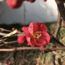 삼계초등학교 이미지