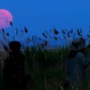 스튜디오 두마