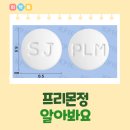 프리몬 이미지