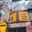 곰국시집 | 을지로 명동 맛집 곰국시집 전골국수 만두 내돈내산 후기