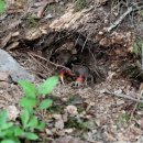 난지섬관광지 이미지