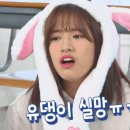 데이포