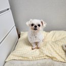 이마트24 강진군동점 | 겨울 끝자락에서 보낸 소소한 일상들, 2월