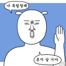 노벰버레인 네이버블로그