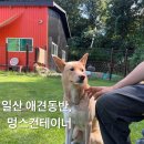 멍스 컨테이너 이미지