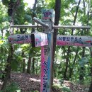 석동암주유소 Daum카페