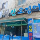 섬산오징어 이미지