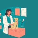 연수동물메디컬센터 이미지