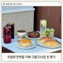 건짐 | 의정부 민락동 카페 구엘 다녀온 찐 후기 (인생샷 건짐)