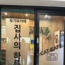 평화문구 | 집사의하루 일산점 힐링 데이트 후기 일산 고양이카페 추천