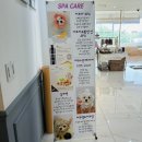 DOG ENT. 도그이엔티 이미지