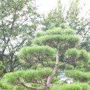 소사농장 이미지