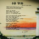 논골길 Daum카페