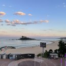 브라운도트 진하해수욕장점 이미지