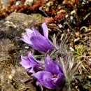 문산1리 이미지