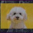 요트올림픽동산지구 | 요트올림픽동산지구, 한국의 해양 스포츠 메카