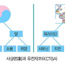 한비코리아