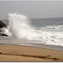 청정영어조합법인 이미지