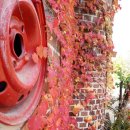 초등 감성미술 이미지