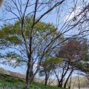 광암목장 네이버블로그