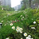 우시장천 이미지