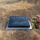 신속묘 이미지