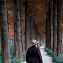 2025년 11월 25일 화요일 이미지