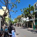 땅콩약국 이미지