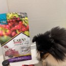 카니코리아 이미지