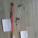 남세 Daum카페