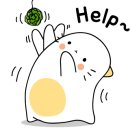 헤어바이진 - 북구 | 헤어바이진