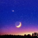 금성환경 이미지