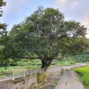 본동마을회관 이미지