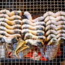 민물 장어 명가 이미지