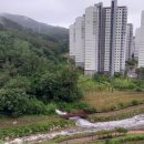 진해의아침공인중개사사무소 이미지