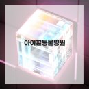 아이힐 동물병원 | 아이힐동물병원 역삼동물병원 믿을만한